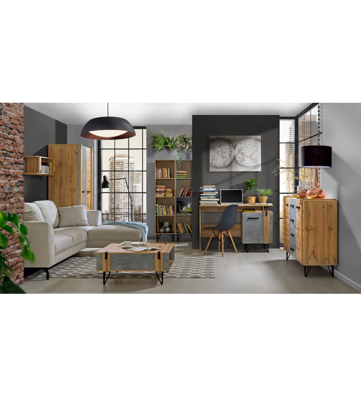 Stolik RTV w stylu industrialnym Lofter LO7